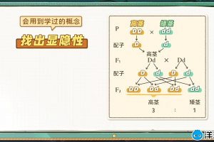 洋葱学院高中生物必修二（稀有资源），仅50盘币