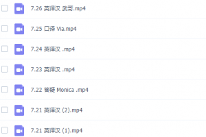 考研武峰“套路”英语翻译（48课时包含笔译）