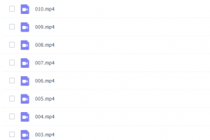 Chinaelt系列Phonics Spelling进阶自然拼读5~6岁课程(英语自然拼读法)