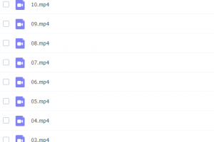 Chinaelt系列Phonics Spelling进阶自然拼读6~7岁（少儿拼读英语）