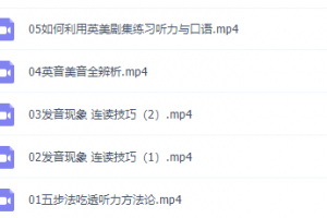 有道考神建坤大学英语听力吃透班高清视频课程