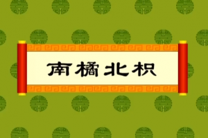 儿童动漫《经典成语故事160全集》