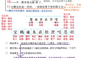 抖音超火语文笔记PDF格式
