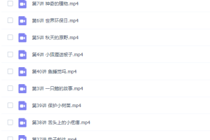 梅子老师二年级小荷班阅读理解提升40集课程完结