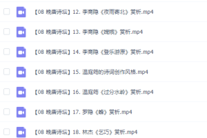 乐乐小学语文国学晚唐诗坛19讲完结