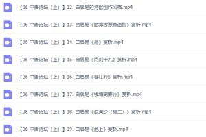 乐乐小学语文国学中唐诗坛（上）19讲