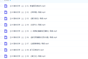 乐乐小学语文国学南宋文学（上）