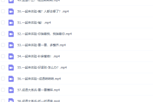 云舒写小学高分作文必会成语课