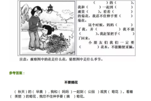 最新小学生看图写话填空练习50篇（篇篇经典）包含参考答案