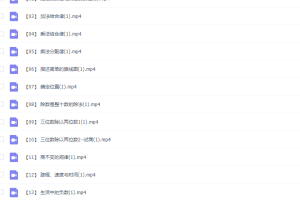 乐乐小学数学四年级上册（II）视频课程