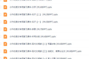 小升初语文期末专项复习课件ppt资料训练知识汇总试卷