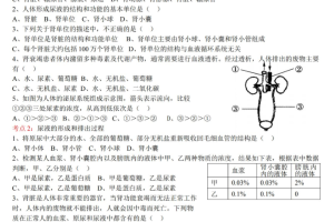 备战中考 初中生物中考一轮复习考点测试题