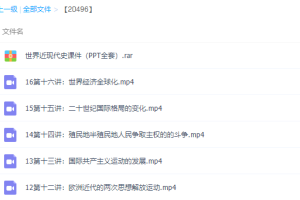 名师微夏东平世界近现代史专题课程完结