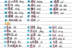 2021衡水中学初中文科状元笔记全套电子版