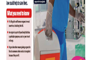 《The big debate》英语考试、写作、阅读备考资料2022全年