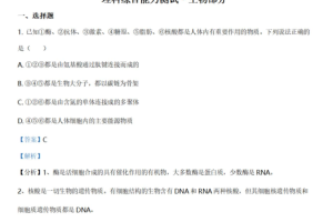 2021年高考全国甲卷生物高考真题解析试卷及答案