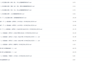 猿辅导2020王晓明(萌萌)高三历史二轮复习视频课程