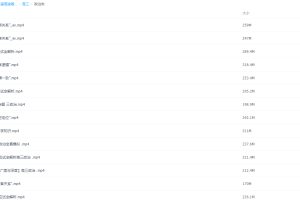 2021届春季班(HL绝密)-高三政治朱法垚春班课程