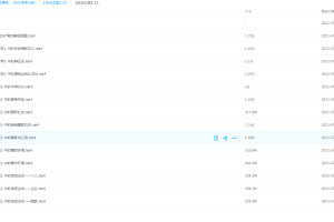 政治王雪有道精品2020高考二三轮复习班备考计划资料全