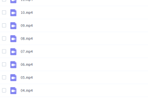 丁永康硬笔行楷书视频-中小学生硬笔行楷书练习指导