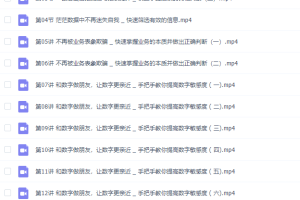 小安老师《60节课-掌握成为“优秀财务”的核心能力》完结