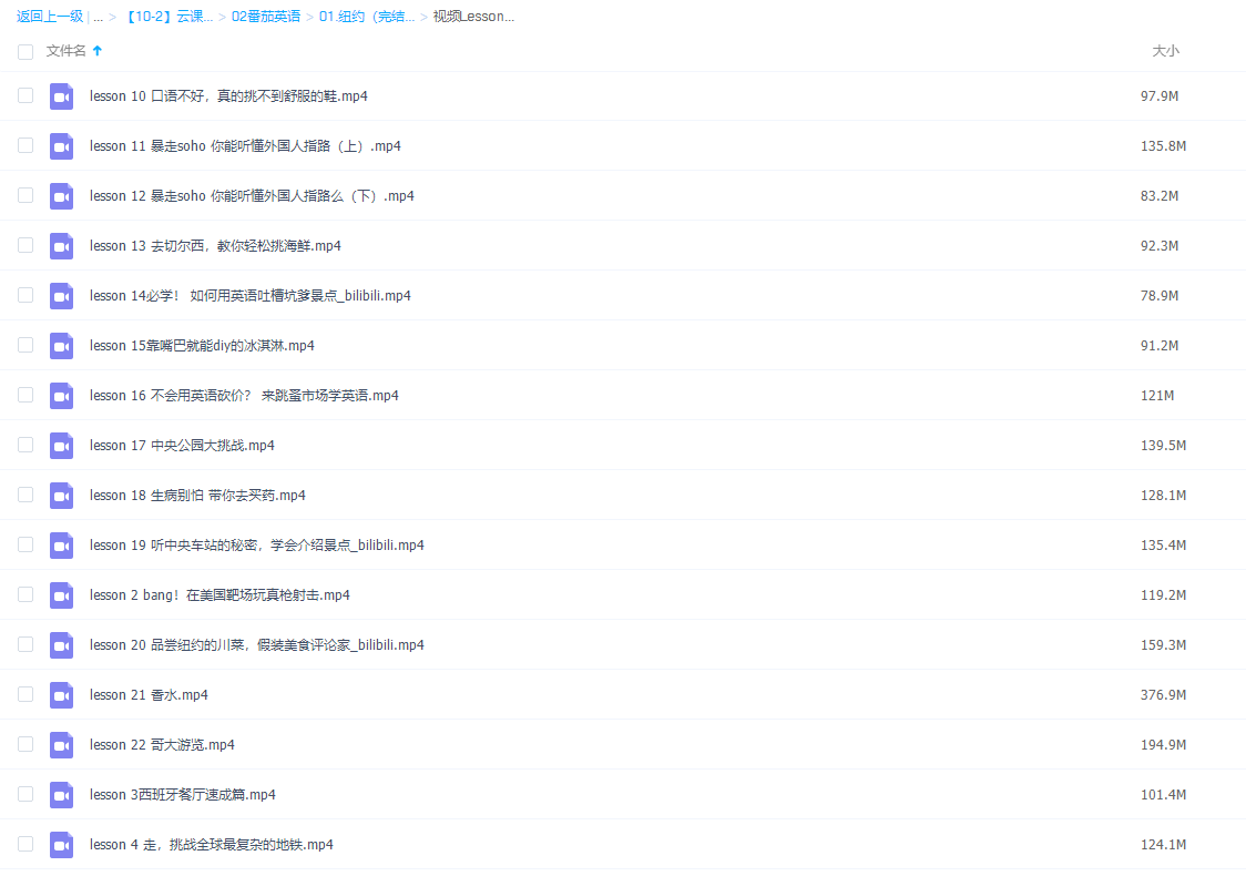 番茄英语之纽约完插图1