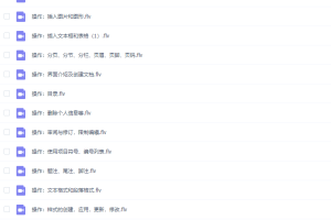 2020年全国计算机等级考试二级Ms office高级应用视频网课