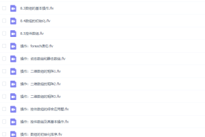 2020有道全国计算机等级考试二级Visual Basic语言程序设计视频网课全套