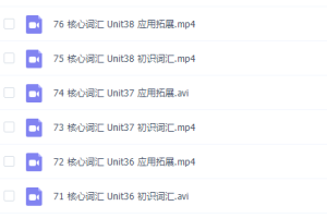 考研朱伟恋练有词词汇5500核心词汇2（全20-60集）