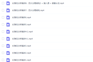 2021考研英语宋智鸣《长难句技巧分析班》