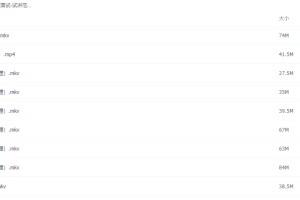 华图教师资格证面试-试讲范例班-初中英语9节视频